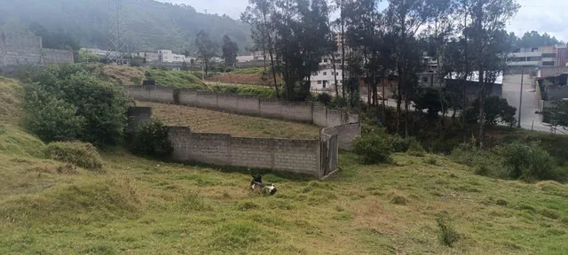 Venta Terreno Esquinero en Conocoto 1012 m² Los Chillos — imagen 2
