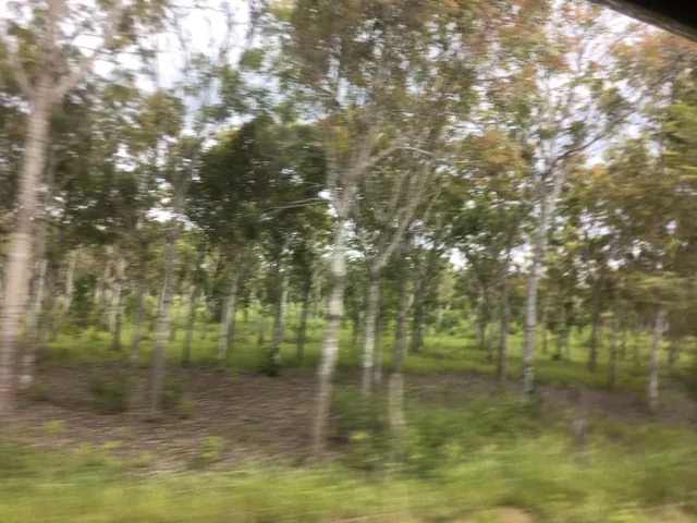 Venta Terreno 22.50 Has Chongon Junto Al Nuevo Aeropuerto de Guayaquil, Guayas — imagen 4