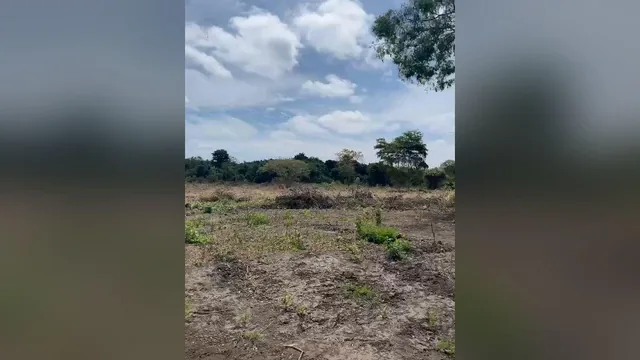 Vendo Terreno 5.87 Ha Km 37 Via a La Costa, Al Pie de La Via - Mlvillegas, Guayas — imagen 5