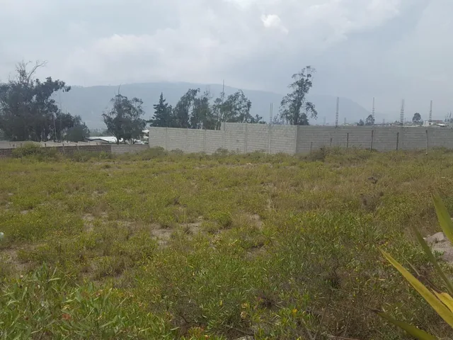 Terreno Plano, Mitad del Mundo, 895 m — imagen 3