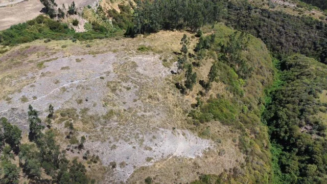 Terreno de 45165 m² en Venta en Pifo Sector El Inga — imagen 5