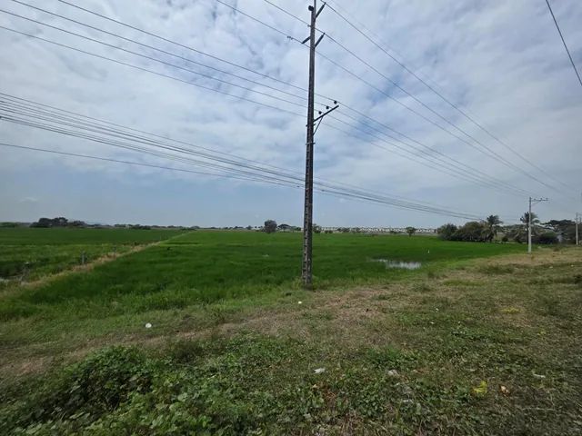 Vendo Terreno Al Pie de La Via, Salitre Km. 6, Ideal Para Urbanización, Guayas — imagen 5