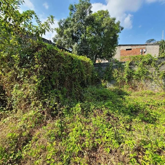 Venta de Terreno 800 m² en Mapasigue Este Dansat, Guayas — imagen 5