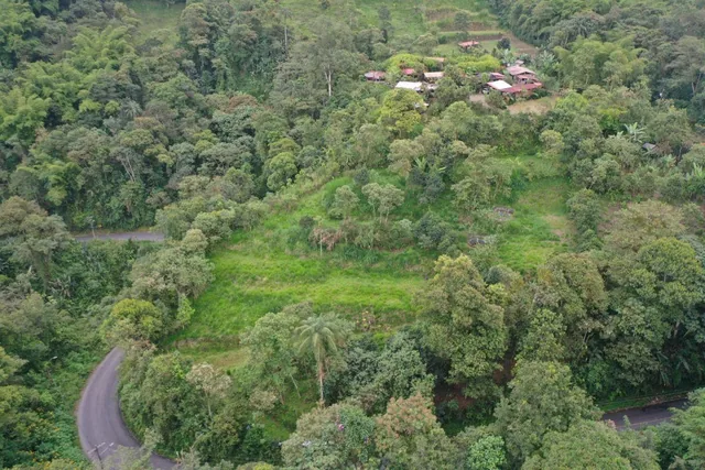 En Venta – Excelente Terreno en Mindo — imagen 4