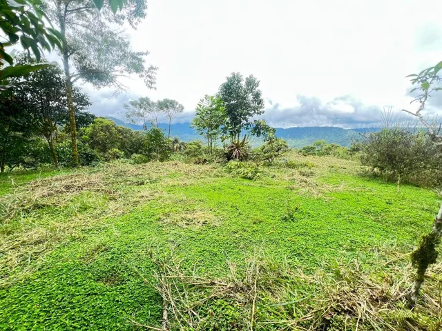 En Venta – Excelente Terreno en Mindo — imagen 2