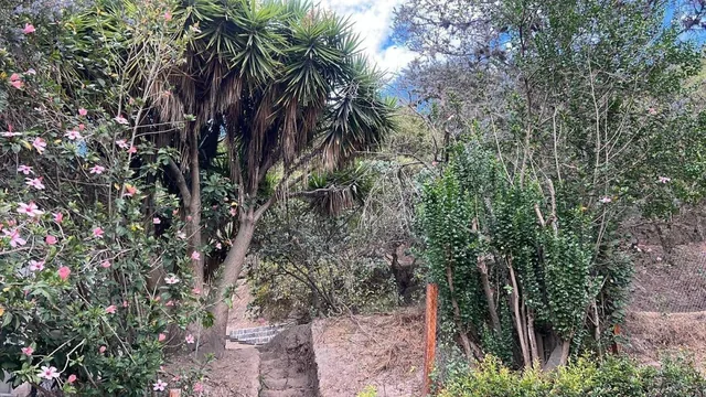 Venta Terreno en Cumbaya en Urbanización Privada — imagen 5