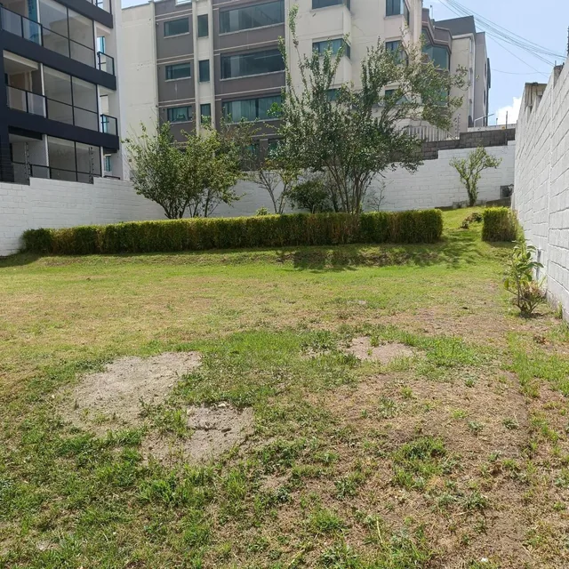 Ponciano Alto Hermosa Casa Duplex Independiente en Venta con Jardines 5 Dorm. Sala Tv — imagen 5