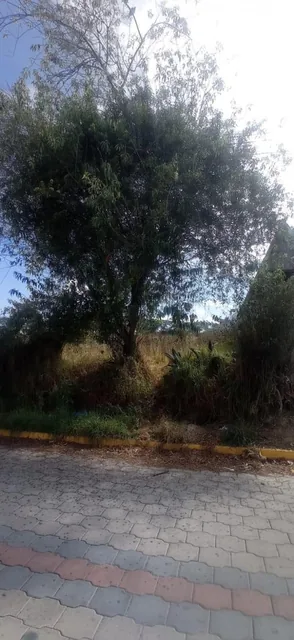Terreno 2200 m² en Venta Sector Bonanza en Calderón — imagen 4