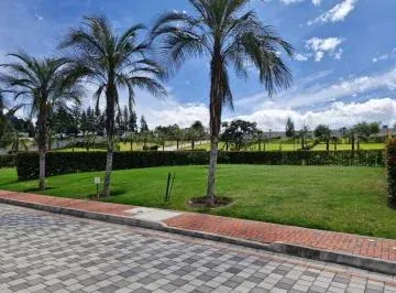 Terreno de Venta en Puembo Sector Nuevo Colegio Americano — imagen 5