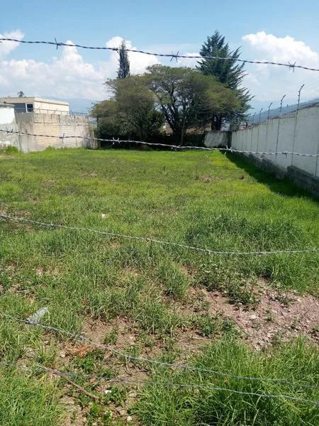 Vendo Terreno en Yanazarapata Cumbayá — imagen 5