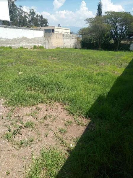 Vendo Terreno en Yanazarapata Cumbayá — imagen 4