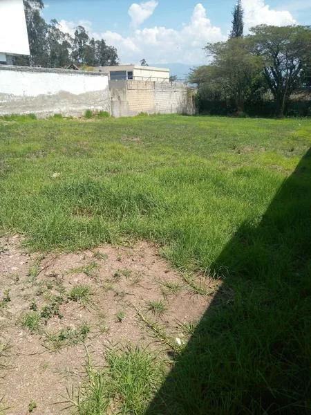 Vendo Terreno en Yanazarapata Cumbayá — imagen 3