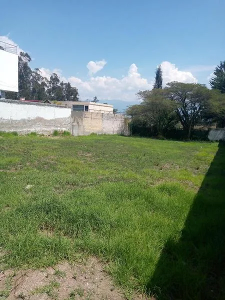 Vendo Terreno en Yanazarapata Cumbayá — imagen 2