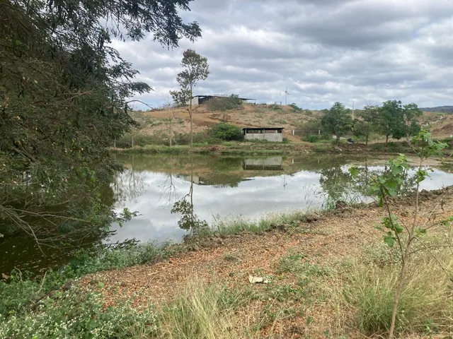 Finca en Venta de 60 Ha en El Sector del Azúcar, Santa Elena - N. Dorado — imagen 5