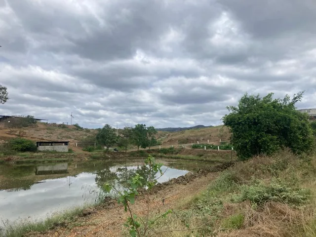 Finca en Venta de 60 Ha en El Sector del Azúcar, Santa Elena - N. Dorado — imagen 3