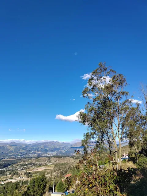 Vendo Terreno en Tumbaco - Comuna Leopoldo Chávez — imagen 2