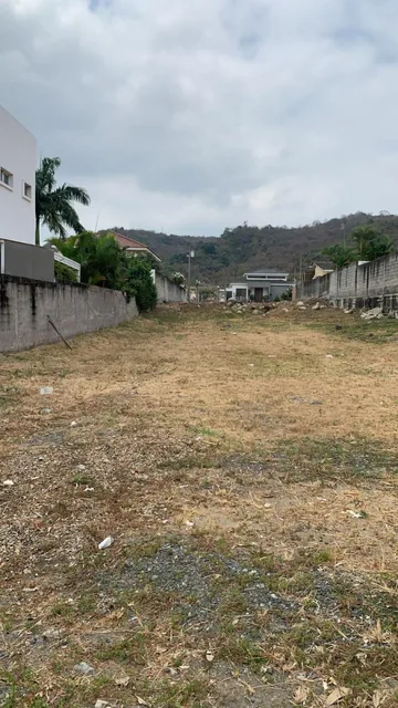 Condado Vicolinci, Terreno, Guayas — imagen 5