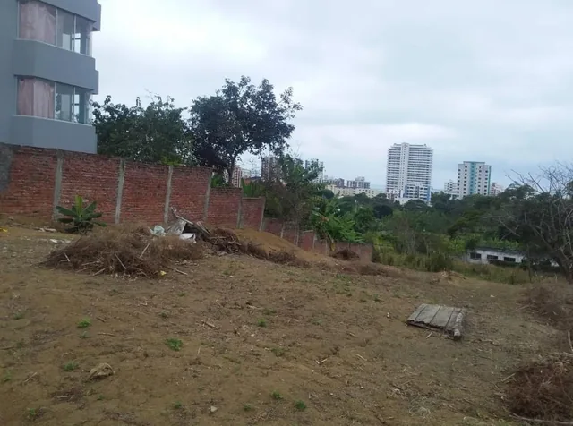 Se Vende Terreno en Tonsupa - Atacames - Esmeraldas — imagen 5