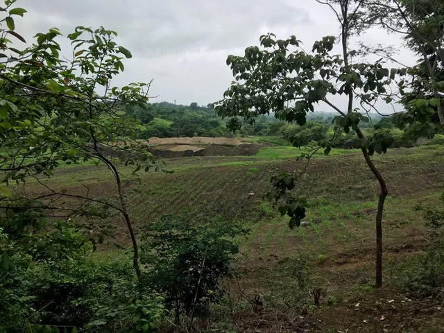 Se Vende Macrolote en Km 35 Vía a La Costa - R. Puga, Guayas — imagen 3