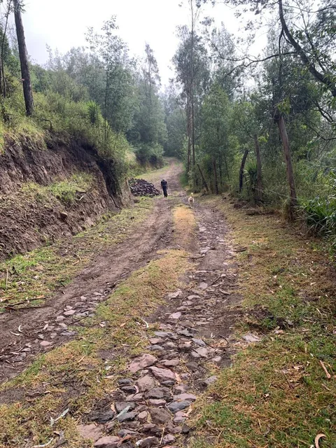 Vendo 1.200 m² de Terreno - Tumbaco - Sector Wilacucho — imagen 2