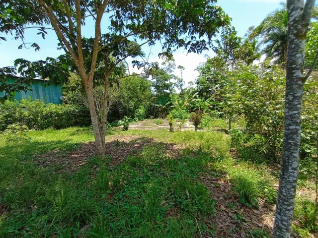 Tena - Vendo Hermoso Terreno, Napo — imagen 5