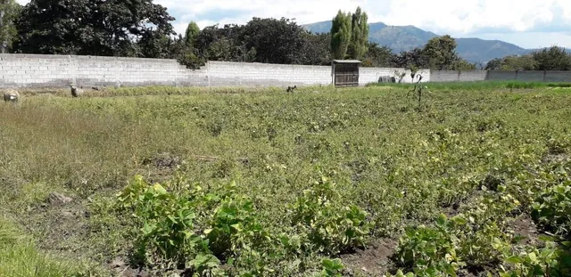 Re/max Futuro Vende Ideal Terreno en Tumbaco de 2003 m² Usd $220.000 — imagen 4