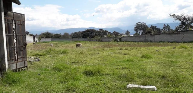 Re/max Futuro Vende Ideal Terreno en Tumbaco de 2003 m² Usd $220.000 — imagen 3