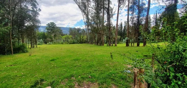 Se Vende Terreno en Amaguaña — imagen 5