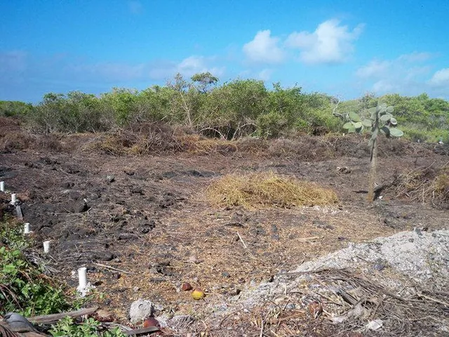 Terreno de 3000 m² en Venta en El Sur de Puerto Villamil, Isla Isabella, Galápagos, Galápagos — imagen 5