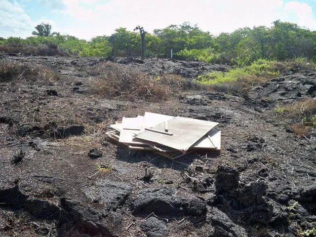 Terreno de 3000 m² en Venta en El Sur de Puerto Villamil, Isla Isabella, Galápagos, Galápagos — imagen 4