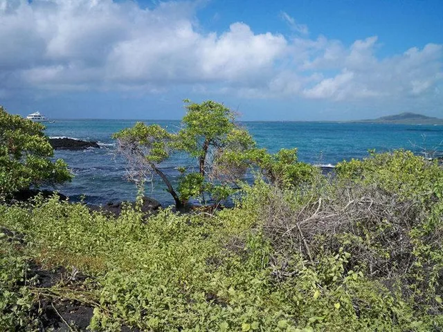 Terreno de 3000 m² en Venta en El Sur de Puerto Villamil, Isla Isabella, Galápagos, Galápagos — imagen 2