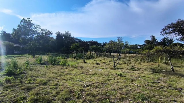 En Venta Lote Plano de 12100 m² en Collaquí - Tumbaco Sector Consolidado — imagen 4