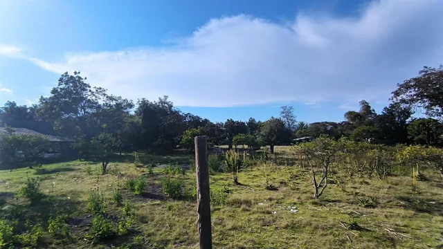 En Venta Lote Plano de 12100 m² en Collaquí - Tumbaco Sector Consolidado — imagen 2