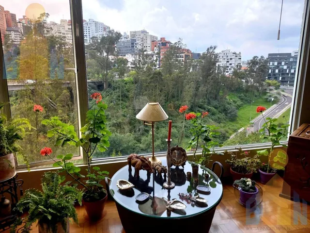 Departamento de Venta Bellavista 140 m 3 Dorm. $ — imagen 5