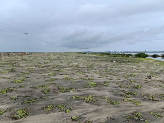 Terreno en Venta Mar Bravo Salinas - T. del Valle — imagen 5