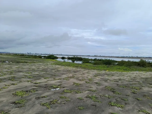 Terreno en Venta Mar Bravo Salinas - T. del Valle — imagen 4