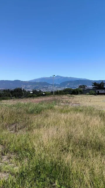 Venta Terreno 34.295 m Puembo Cerca a Via Principal — imagen 5