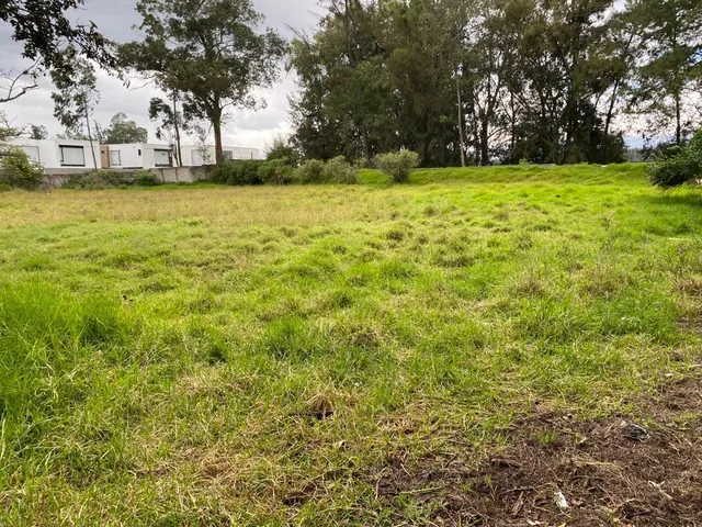 Venta Terreno 34.295 m Puembo Cerca a Via Principal — imagen 2