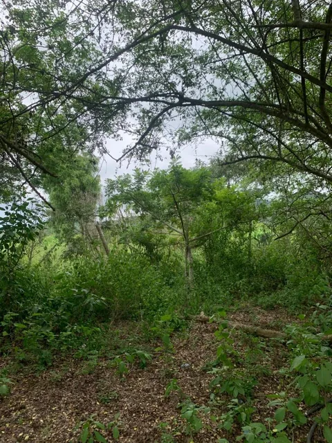 Terreno en Montecristi Sector Los Bajos, Manabí — imagen 5