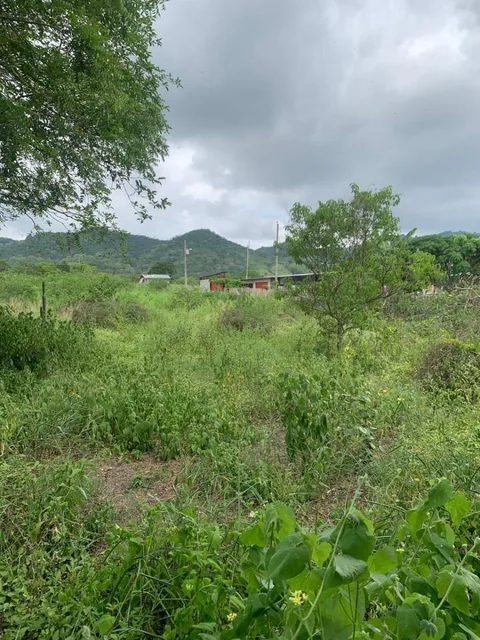 Terreno en Montecristi Sector Los Bajos, Manabí — imagen 4