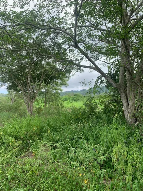 Terreno en Montecristi Sector Los Bajos, Manabí — imagen 2