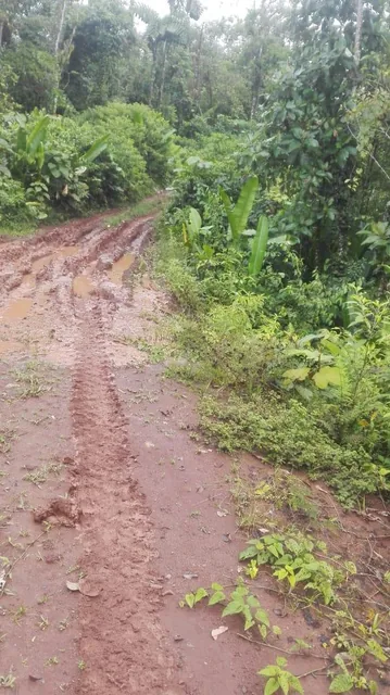 Vendo Finca - Sector Lumbaqui — imagen 3