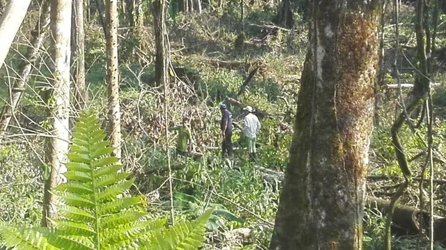 Vendo Finca - Sector Lumbaqui — imagen 2