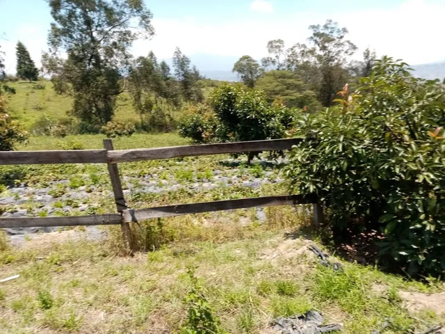 Vendo Terreno con Casa en Yaruqui - Sector Oton de Velez — imagen 4