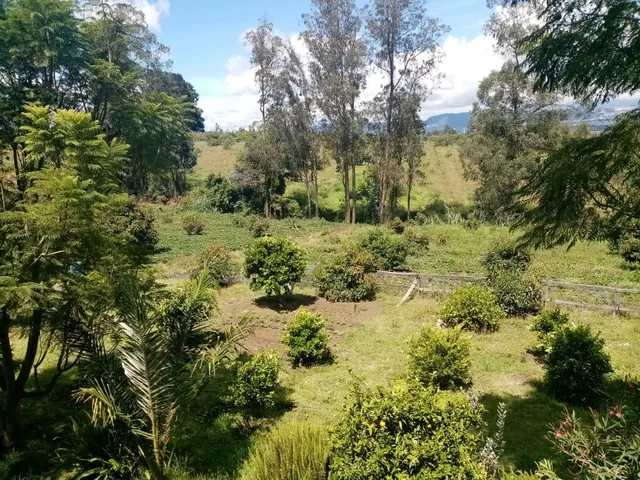 Vendo Terreno con Casa en Yaruqui - Sector Oton de Velez — imagen 3