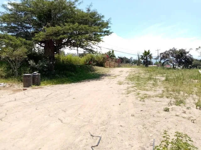 Vendo Terreno con Casa en Yaruqui - Sector Oton de Velez — imagen 2