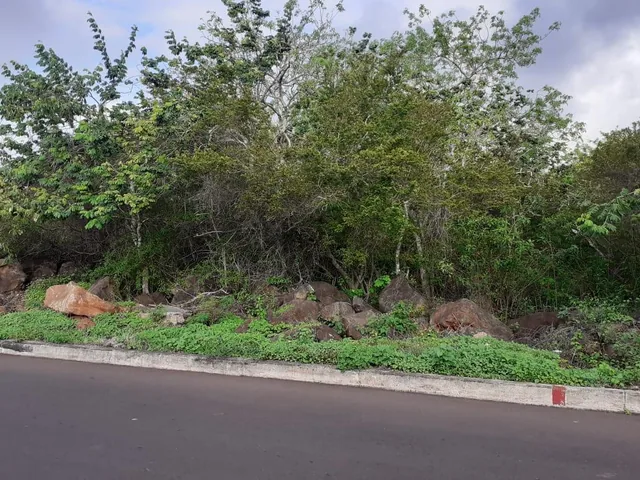 Venta Terreno Galapagos 7500 m², Galápagos — imagen 5