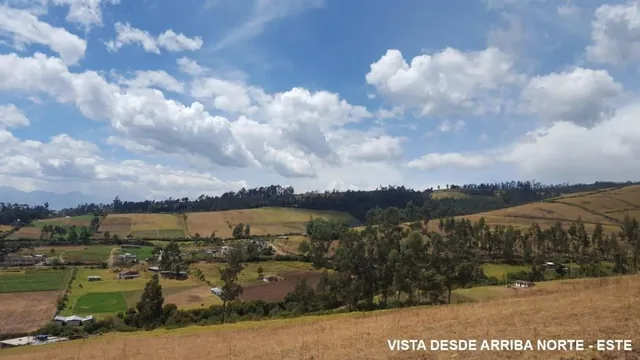 Terreno en Venta Bien Ubicado Cerca Al Aeropuerto — imagen 5
