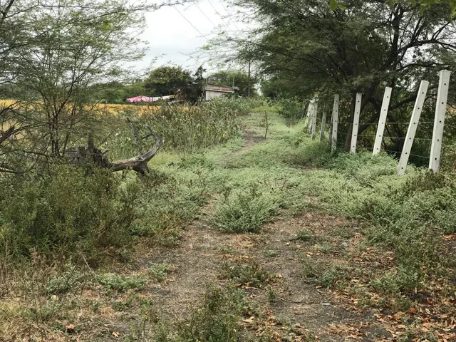 En Venta Terreno Industrial Durán - Tambo Fraccionado - K. Aguirre, Guayas — imagen 3