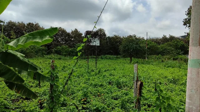 Lote de Terreno en Same — imagen 5